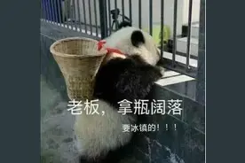 南丰这些经典零食，你的童年里有它吗？图片