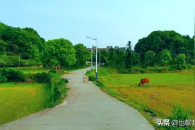 2021年辽宁省锦州市中考作文解析版图片