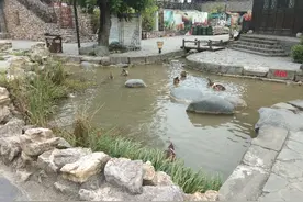 通往九寨沟的绝美自驾路线:汉中到青木川古镇经过文县再至九寨沟图片