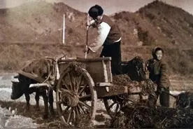 生产队解散的最后一年，老百姓迫切等待改革开放政策的到来图片