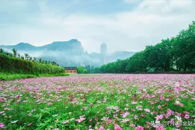 在“藏富于民”的浙江，一次性能拿出50万的家庭多吗？图片