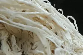 纸张的秘密：台湾纸、大陆纸等图片