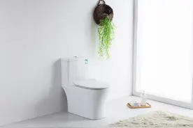 统用大讲堂｜马桶一年用水量多少，你算过吗？图片