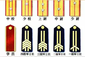 中国人民解放军87式军服军衔标志(1993年10月)将官图片