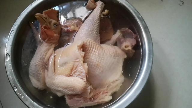 花胶海参炖鸡脚 2026年花胶海参煲鸡脚