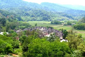 吓人！云南惊现3米巨蟒“二进村”：人心惶惶，蟒蛇究竟怕什么？图片