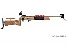 几款颜值爆表，精准简约的轻步枪（三）图片