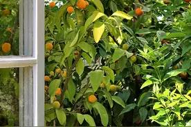 睡觉时梦到的人，是因为他在想你？心理学给出了真相图片