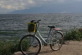 36岁妻子天天夜跑，身体没变好看起来还更老，网友：她约男人了？图片