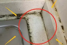 “玻璃胶”长霉变黑，又脏又难看？只需喷点“它”，干净又杀菌！图片