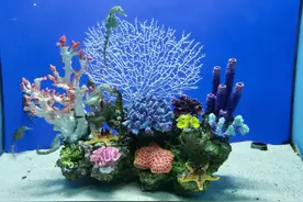 小学阶段需要背诵的10篇小古文图片