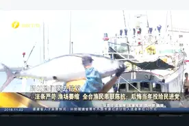 因为当年错投民进党 台湾爆渔业史上最大团结——北上串联陈抗视频封面