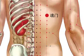 魂门穴主治：食饮不下，腹中雷鸣，大便不节，小便赤黄图片