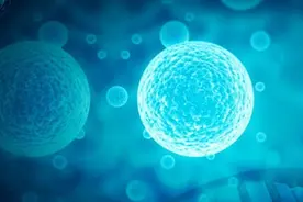 哈佛造出人造兔肉和牛肉 方法类似“卷棉花糖”图片