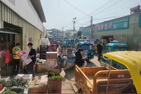 江苏沭阳花木电商售假调查：“卖假苗”在这里不算秘密图片