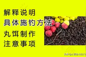大鱼难钓？试试欧鲤钓，用科学的方法垂钓大鱼才更简单图片