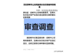 河北邯郸市公安局副局长张志刚被审查调查图片