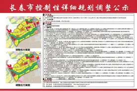 长春双阳区奢岭这2个单元地块规划大调整图片