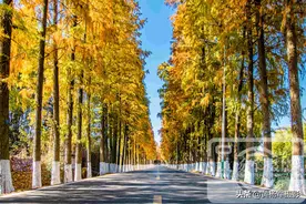 中国这座最低调的小城，四面环山宜居宜游，霸占了广东大半的美景图片