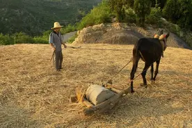 农村10种老物件现在没人用了，价值不能忽略，还能说出名字吗？图片