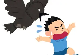 乌鸦已经“制霸”了日本图片