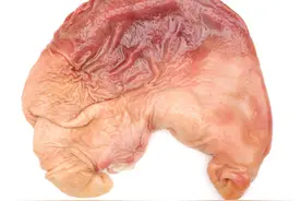 为什么猪肚炒熟后变得又韧又硬？看完才知道，原来用错了盐图片