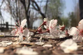 生活随拍 #生活日记#图片