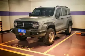 素改坦克300终结篇：不升高换氮减图片
