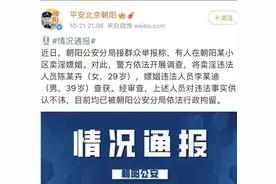 京城四大神秘组织：朝阳大妈、海淀网友、西城大妈、丰台劝导队图片