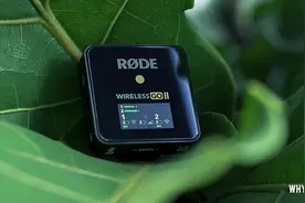 为什么它会成为网红主播们的最爱？图片