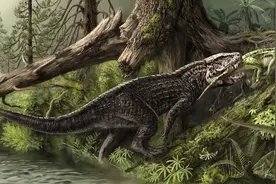 鳄鱼家族有多倒霉？努力了两亿年，回回在马上称霸时被地球针对图片