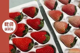 你实现草莓自由了吗？超实用的草莓挑选指南来啦图片