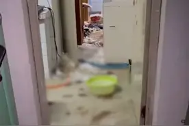 江苏一女租客退房留下遍地排泄物和纸巾，房东直接干呕：怎么住的图片