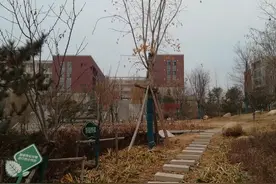 河南汝州   陈向敏《顺之者，昌！》图片