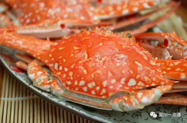 吴川有花胶吗 2026年吴川市花