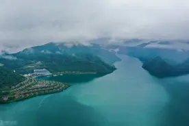 千岛湖的“净水鱼”：鲢鳙放养60多年，水库“鱼王”到底有多大？图片