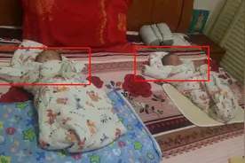 新生儿睡觉总保持“举手”的姿势？不是向父母认怂，而是2个原因图片