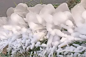 －22.6℃！市区昨日“史上最冷”，气象专家解读——为啥这么冷，还会有多冷图片