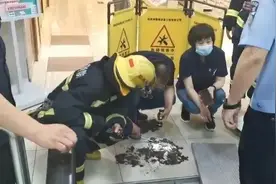4岁男孩手指被夹断！又是扶梯！青岛家长要当心了图片