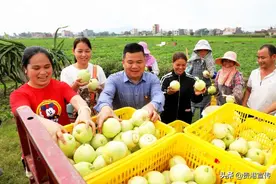 明天，贵港这里将举办首届香瓜节！好吃又好玩，约吗图片