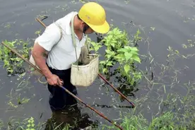 为什么钓鱼人都痛恨电鱼人？因为以下这些“罪状”无法让人原谅！图片