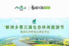 春游江淮请您来丨“乡”约踏春，寻梦新洲图片