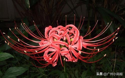 相思无益，十诫说与君知