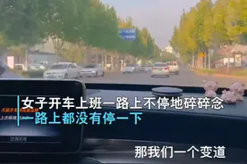 河北一女子开车上班，一路上不停地碎碎念，网友：这车开得太费嘴图片