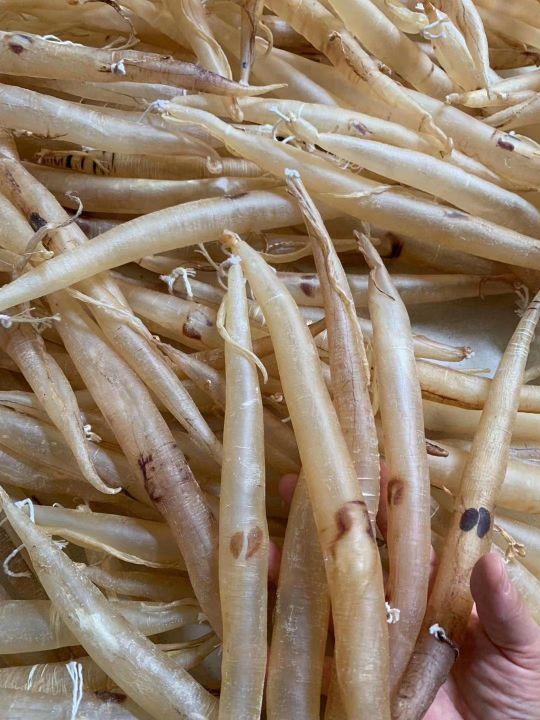 花胶的大小 2026年花胶的大小跟营养有关系吗