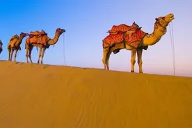 先到咸阳为王上，后到咸阳扶保在朝纲图片