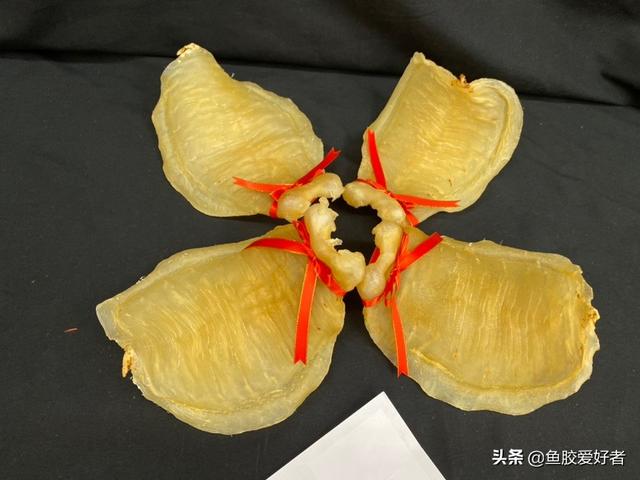 台山赤嘴鱼胶功效一斤 2026年赤嘴鱼胶价格