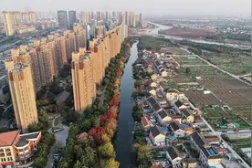 上海有个偏僻的农村，与江苏相距100米，村民去苏州比上海方便图片