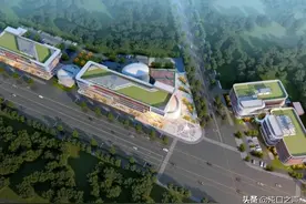 总投资100亿元，这个项目在沌口街民营科技工业园正式签约图片