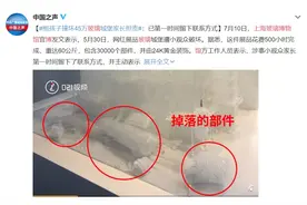 又是“熊孩子”？博物馆展品遭损坏，网友急了：应该让家长照价赔偿图片